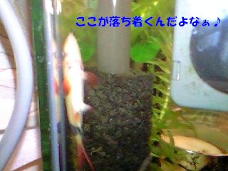 c0223231_9483482.jpg
