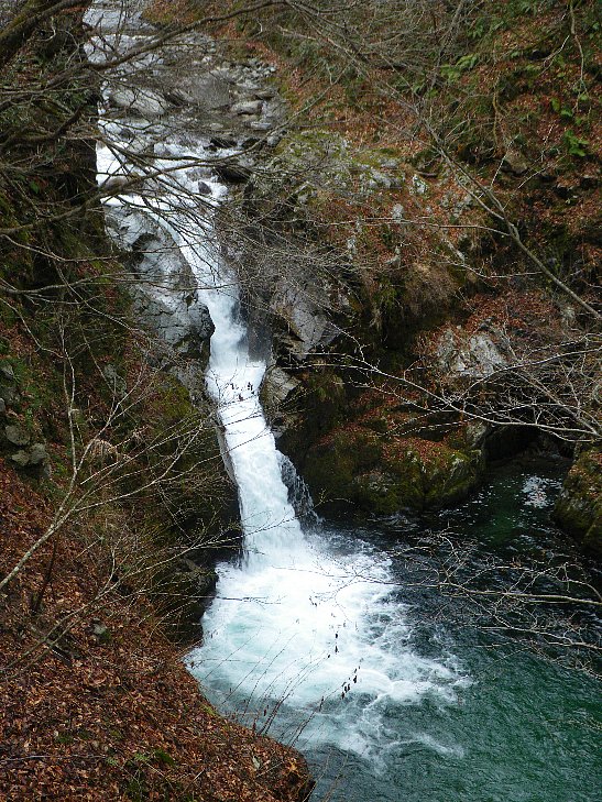 f0118332_1636369.jpg