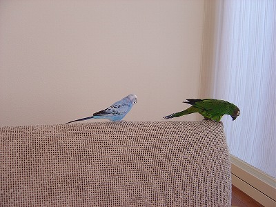 f0205733_104377.jpg