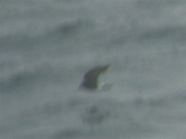 d0146038_2252247.jpg