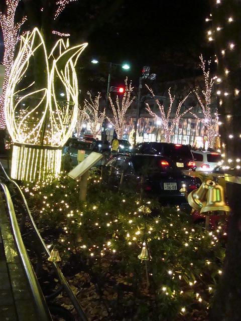 a0046339_20827.jpg