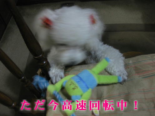 c0117239_12584465.jpg