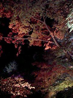 b0039840_0333295.jpg