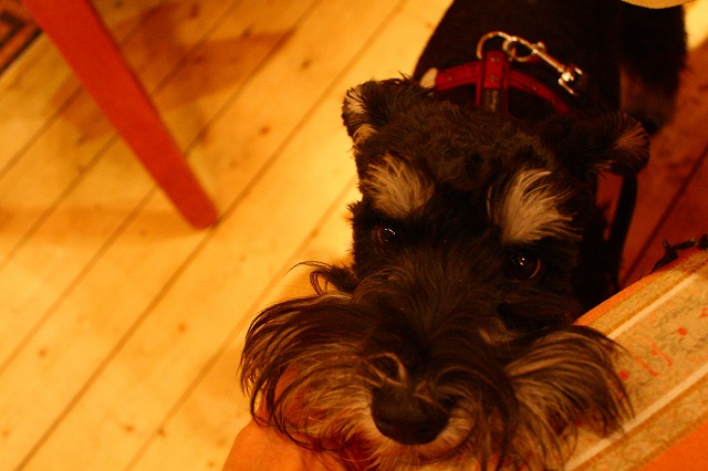 c0153740_2312175.jpg