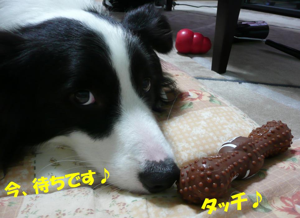 c0147241_21404753.jpg