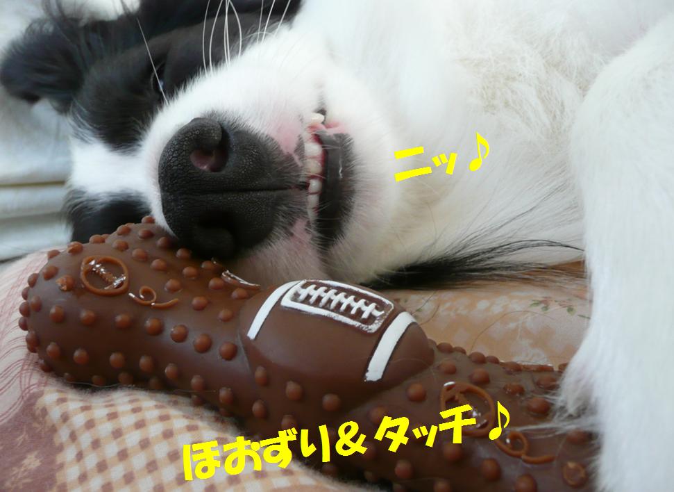 c0147241_2141579.jpg