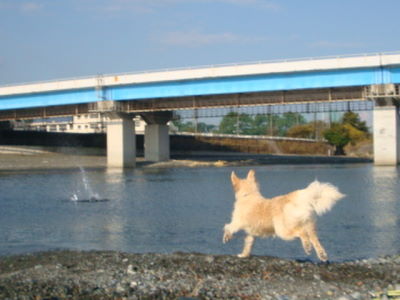 e0158841_1043757.jpg