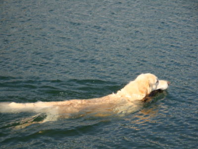 e0158841_1132034.jpg