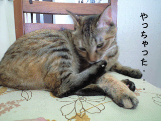 f0116546_18131692.gif