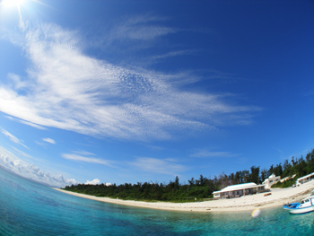d0065247_9583174.jpg