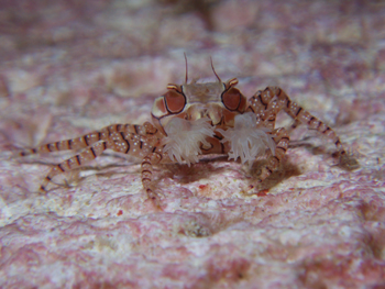 d0065247_9585640.jpg