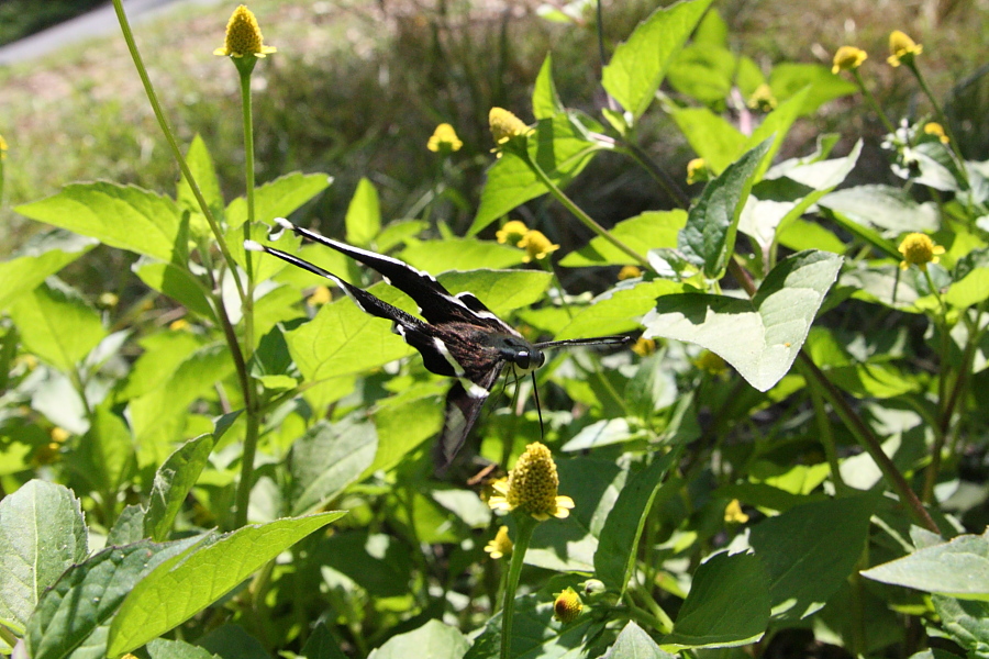 a0094850_196379.jpg