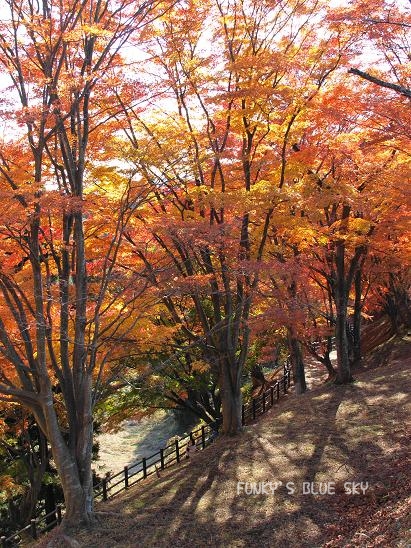 c0145250_1233724.jpg