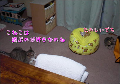 d0139352_0182715.jpg