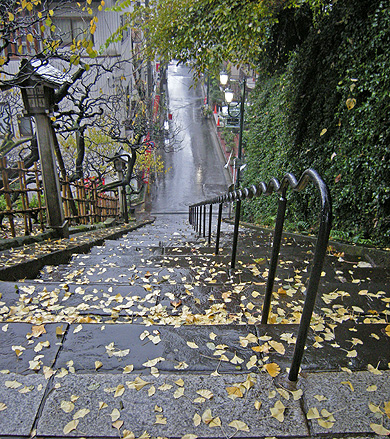 a0001354_2251546.jpg