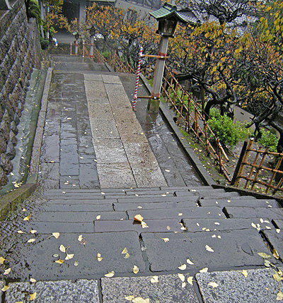 a0001354_225267.jpg