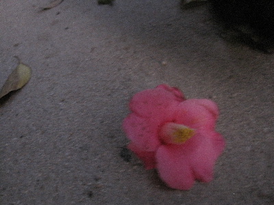 e0126054_23114811.jpg