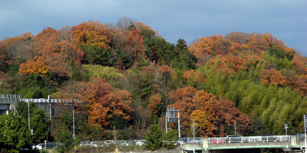 f0007956_17442718.jpg