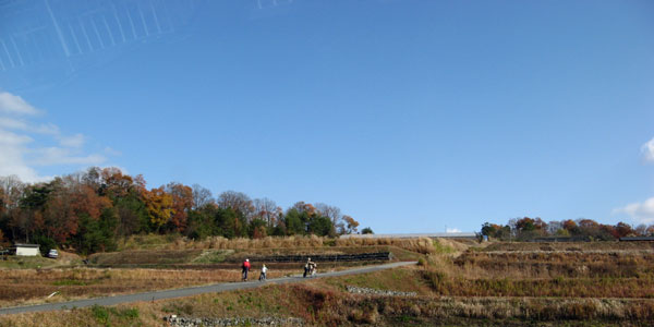 f0007956_17443768.jpg