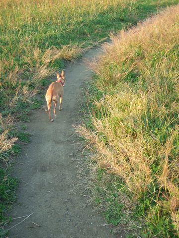 f0158862_20104911.jpg
