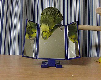 f0196665_1251570.jpg