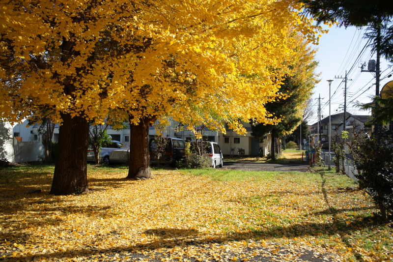 b0027267_23272486.jpg