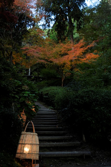 b0131167_2062930.jpg