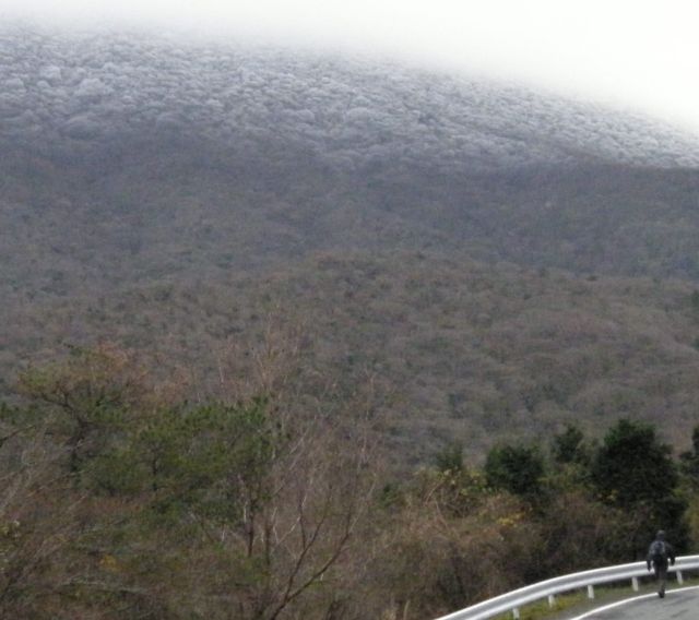 c0042869_975380.jpg