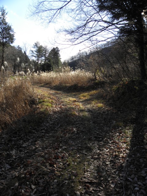 d0134473_15585217.jpg