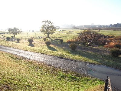 c0091679_825825.jpg