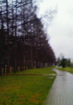 c0198781_1343251.jpg