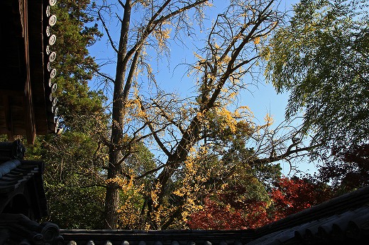 e0190885_14365093.jpg