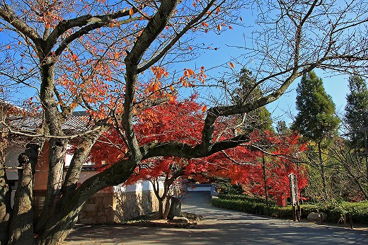 e0190885_14382025.jpg