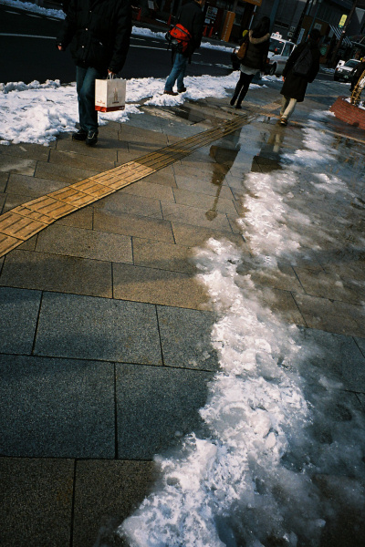 e0051186_8354718.jpg