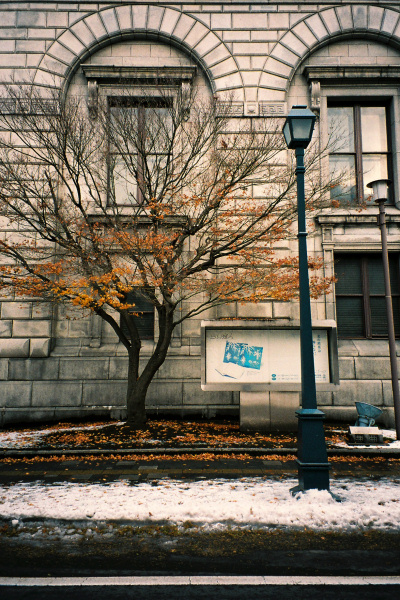 e0051186_83729.jpg