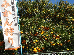 e0150087_1836588.jpg