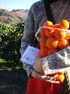 e0150087_19445960.jpg