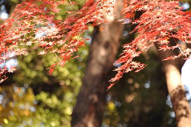 c0028792_23243996.jpg