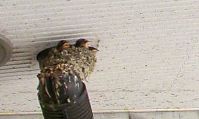 b0029694_2515744.jpg