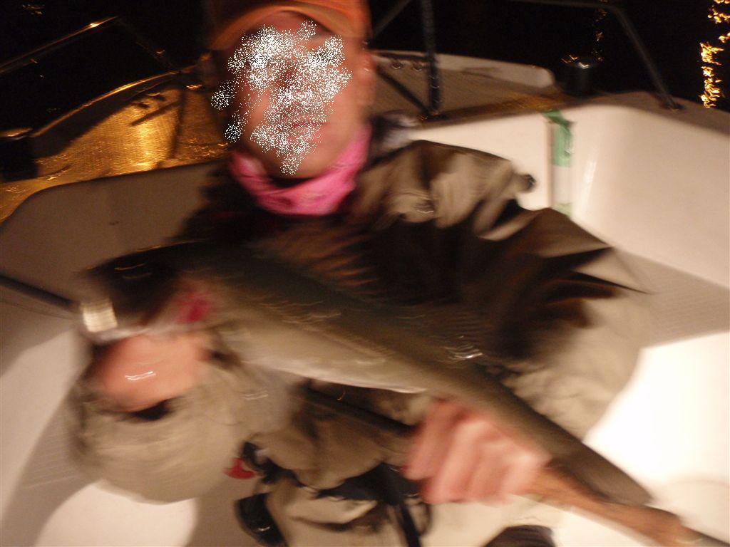 c0177497_13102146.jpg