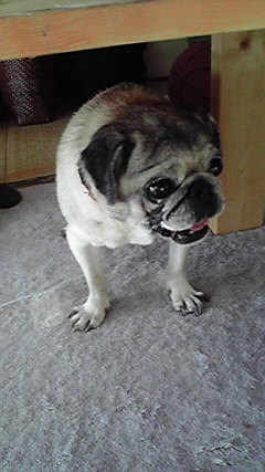 f0077097_19544462.jpg