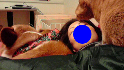 f0077097_2002553.jpg