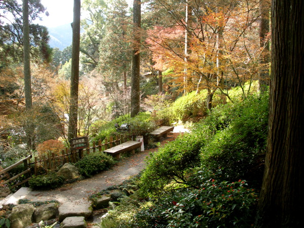 c0036203_18135186.jpg