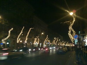 f0021504_44597.jpg