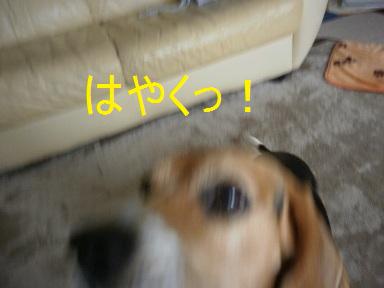 c0205806_1824458.jpg