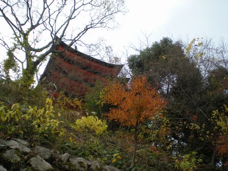 b0061107_22591985.jpg