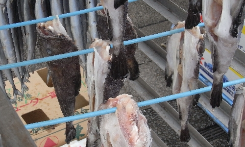 f0006510_23254516.jpg