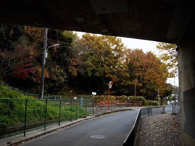 f0167310_16344219.jpg