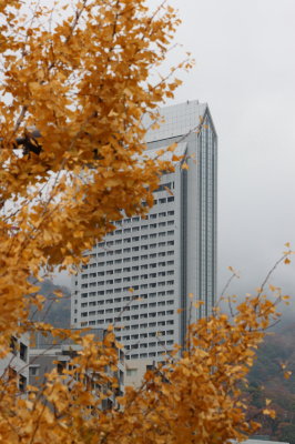 d0072318_13494342.jpg