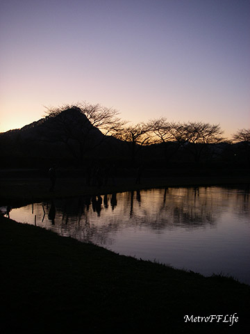 e0112722_19564516.jpg